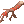 Galho Sangrento